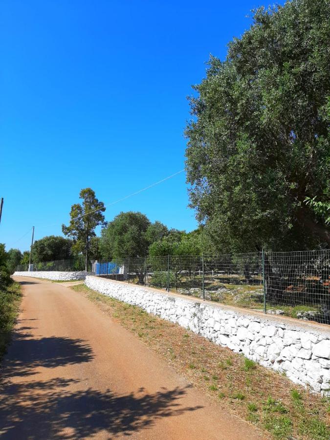הוילה צ'לייה מספיקה Trullo Fellone מראה חיצוני תמונה