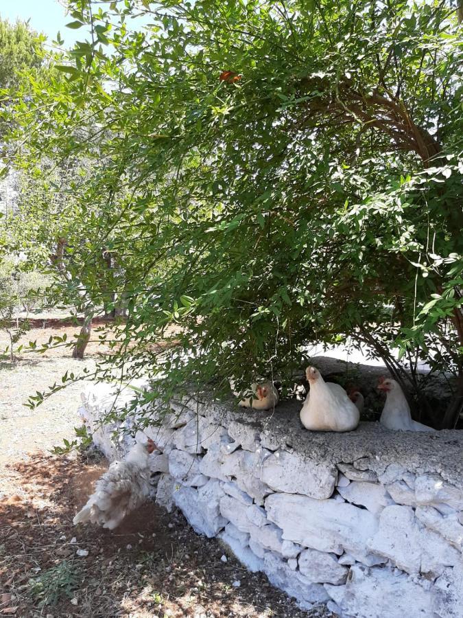 הוילה צ'לייה מספיקה Trullo Fellone מראה חיצוני תמונה